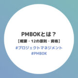 PMBOKとは？【概要 / 12の原則 / 8つのパフォーマンス領域 / 資格】